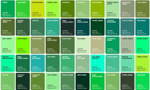 玫瑰康诊怎么引起的-玫瑰康症只用口服药用吗网 :分享玫瑰康用什么药膏-玫瑰康症吃什么药知识