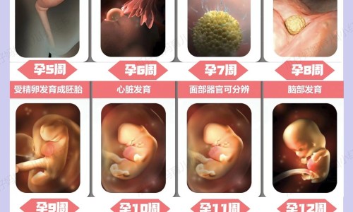玫瑰康症只用口服药用吗网 :分享玫瑰康用什么药膏-玫瑰康症吃什么药知识