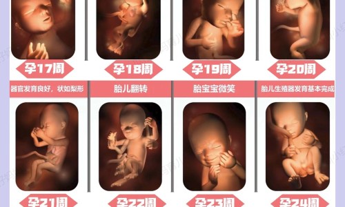 玫瑰康症只用口服药用吗网 :分享玫瑰康用什么药膏-玫瑰康症吃什么药知识